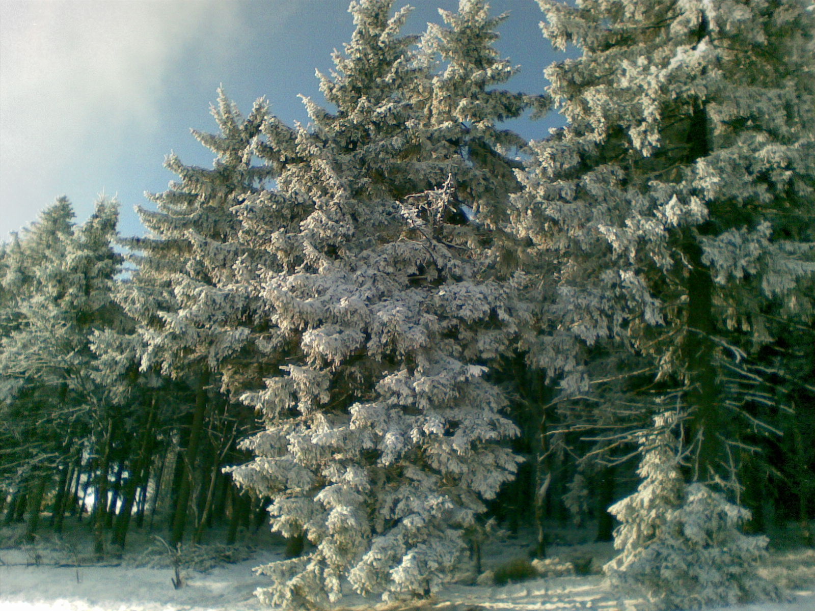 file:03012009(008).jpg